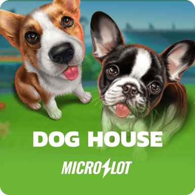 Dog House