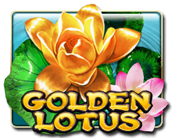 Golden Lotus